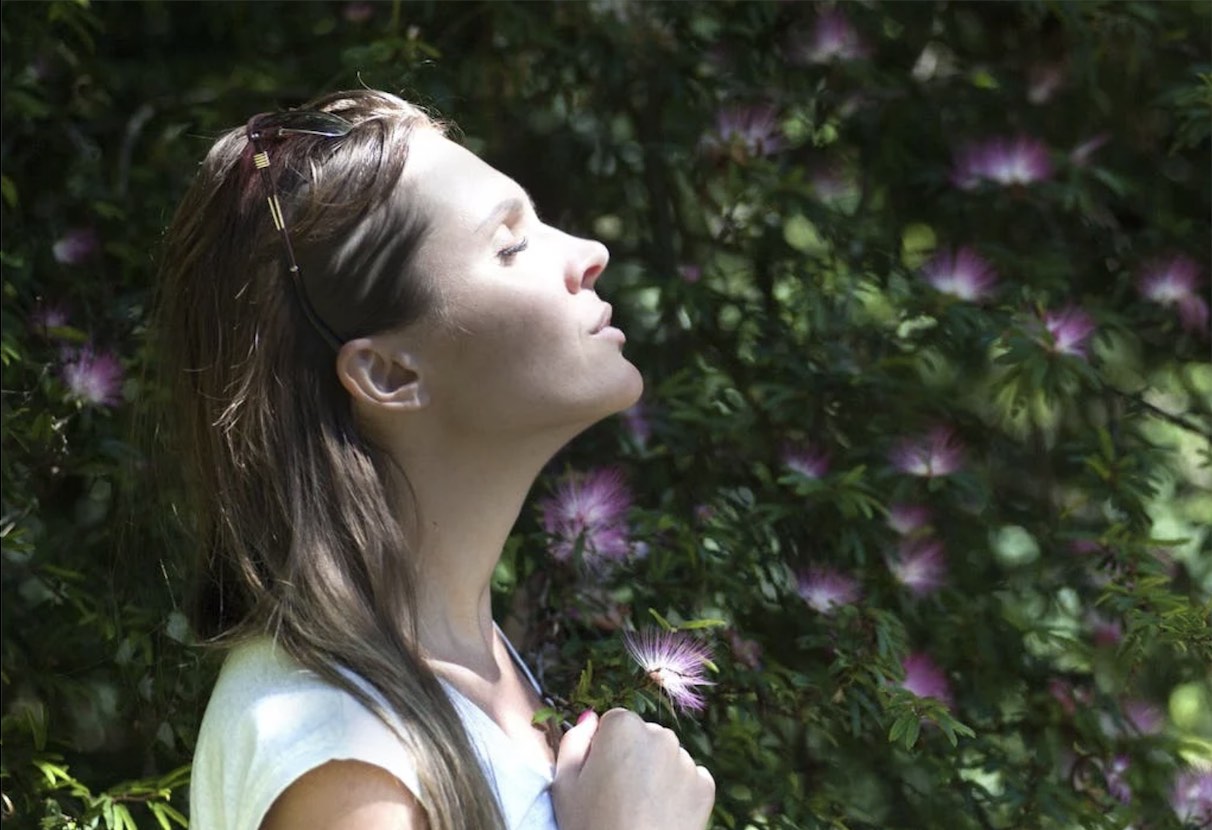 Article - Respiration - Alex P. Pexels